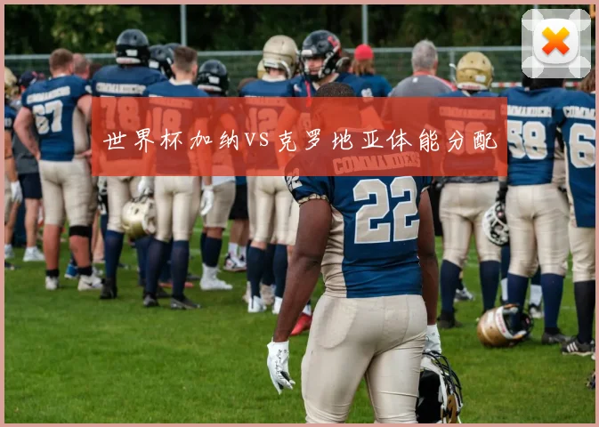 世界杯加纳vs克罗地亚体能分配