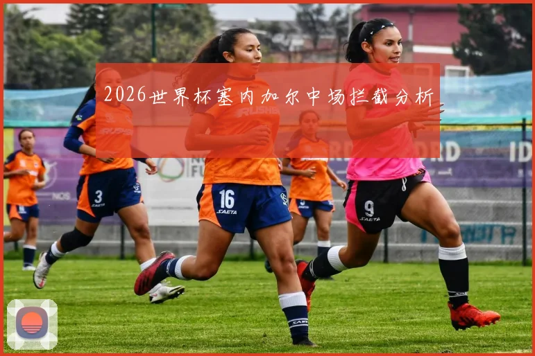 2026世界杯塞内加尔中场拦截分析