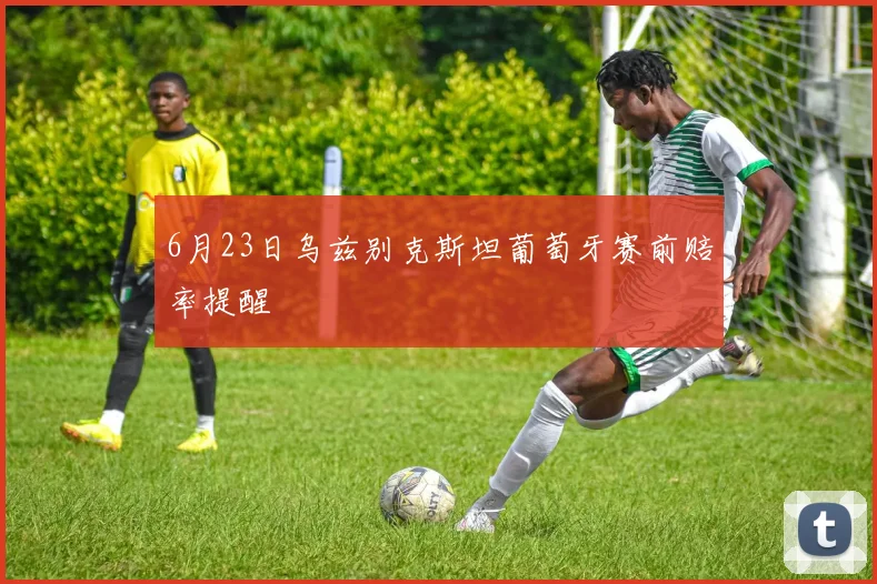 6月23日乌兹别克斯坦葡萄牙赛前赔率提醒