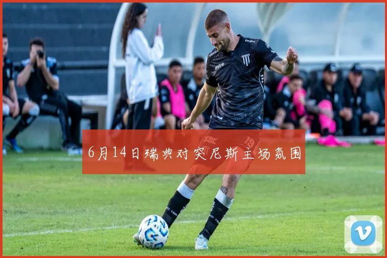 6月14日瑞典对突尼斯主场氛围