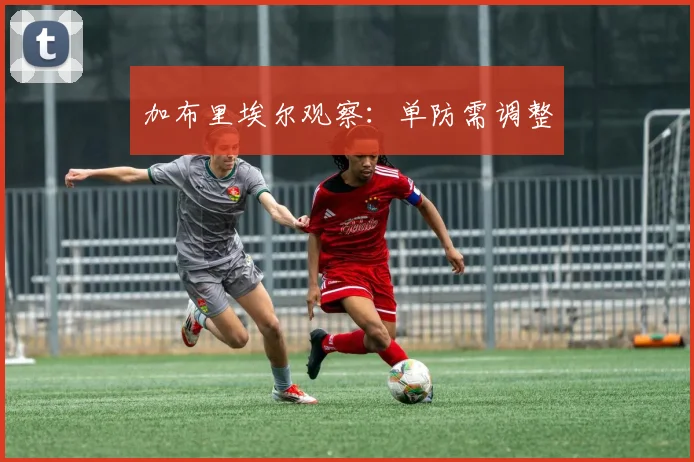 加布里埃尔观察:单防需调整
